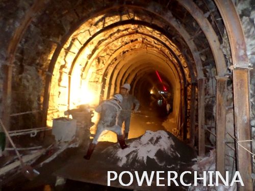 今期特马开本期是什么
