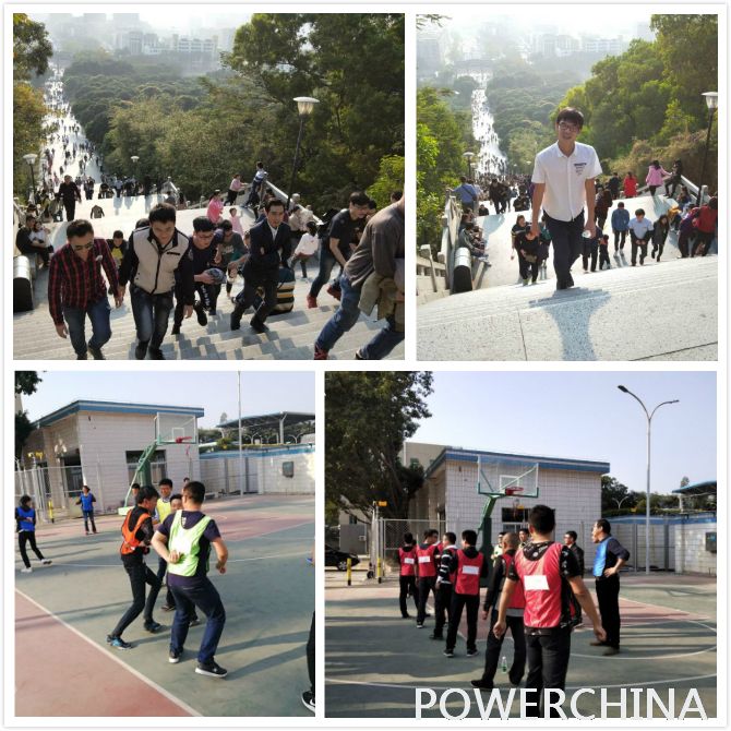 今期特马开本期是什么