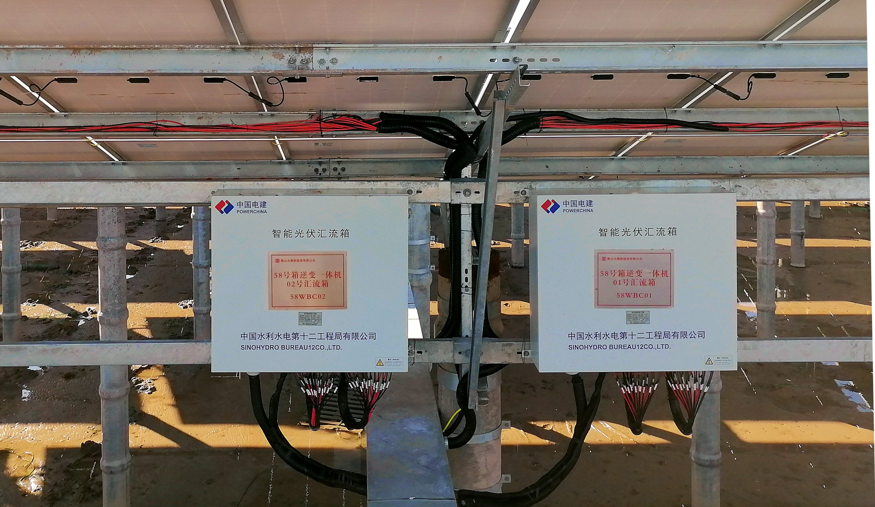 今期特马开本期是什么