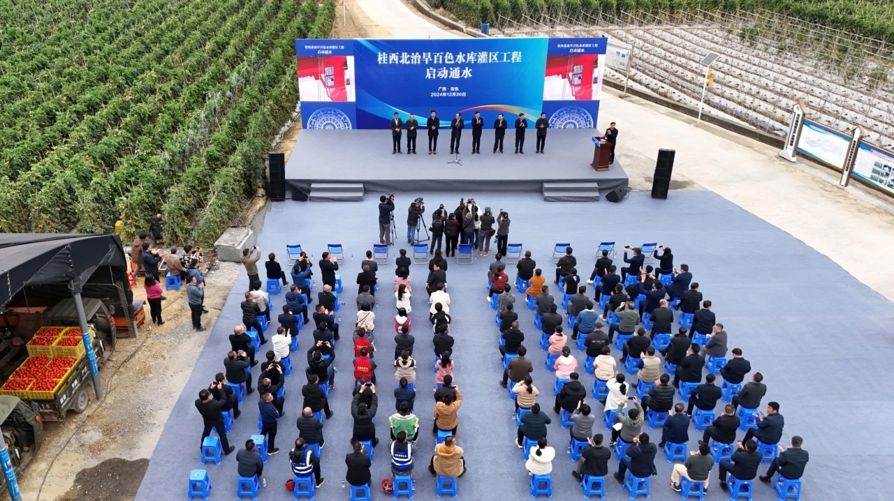 今期特马开本期是什么