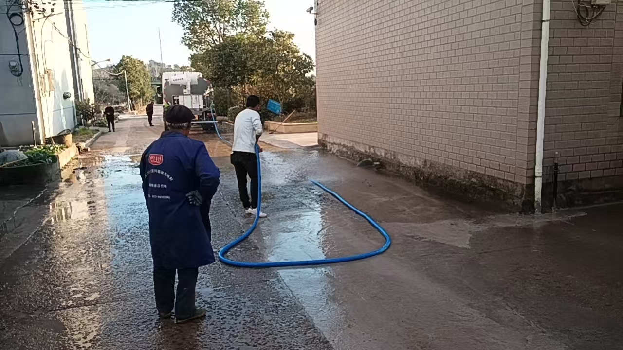 今期特马开本期是什么