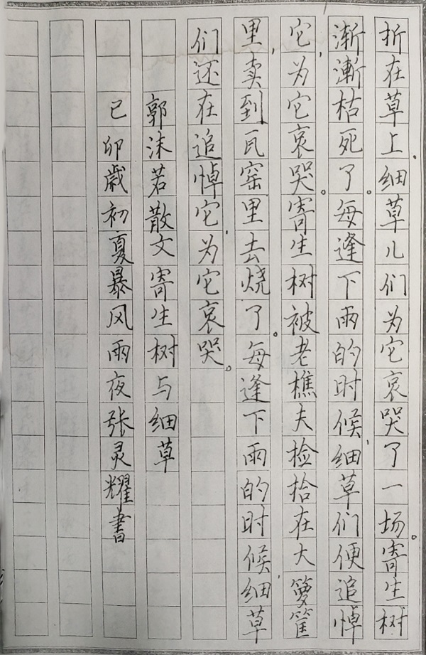今期特马开本期是什么