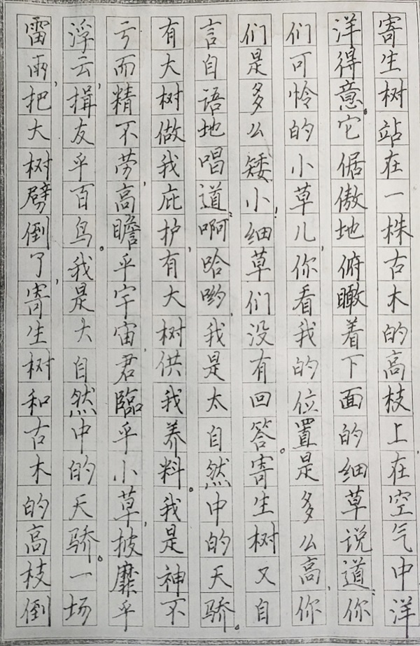 今期特马开本期是什么