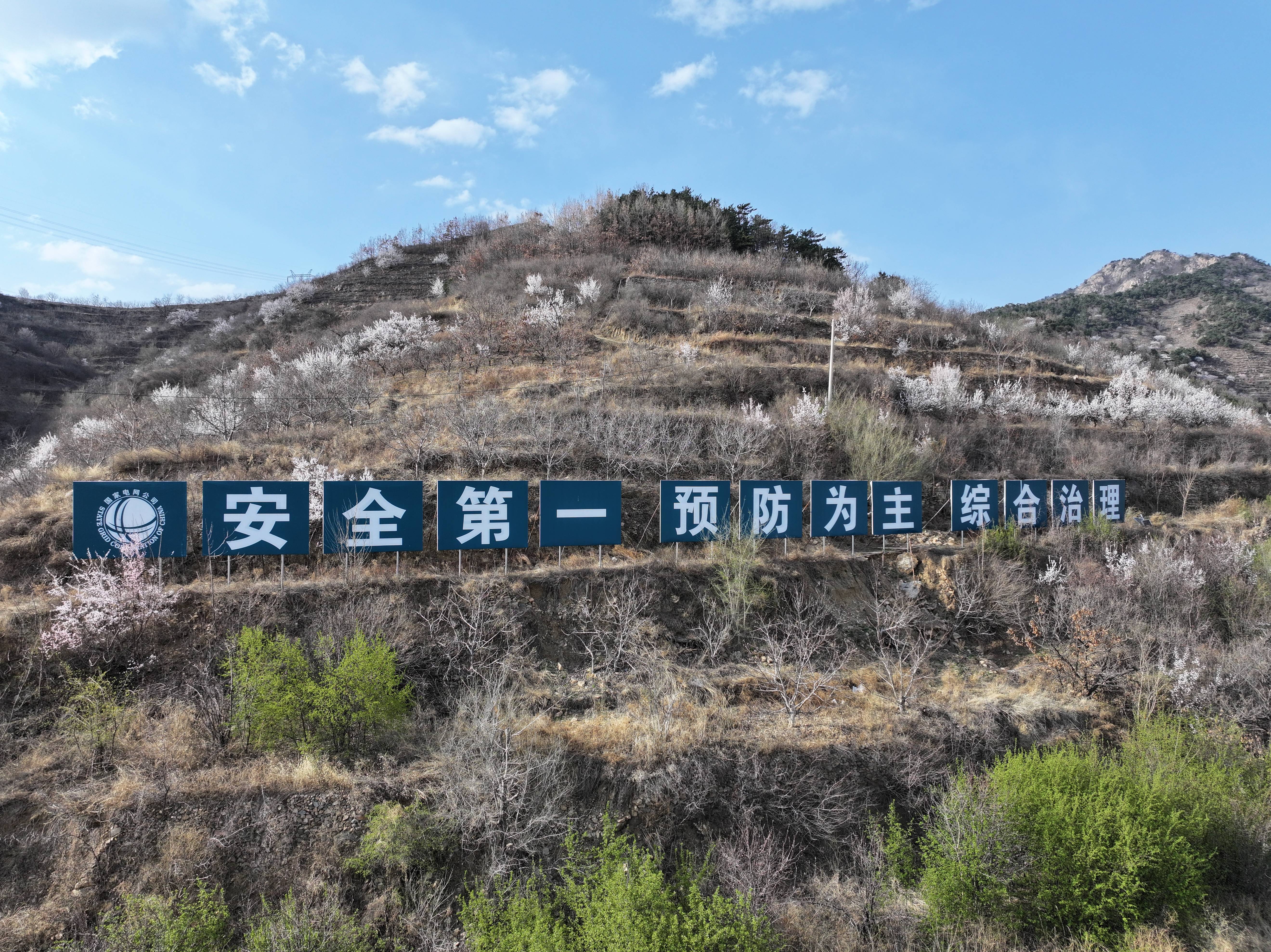 今期特马开本期是什么