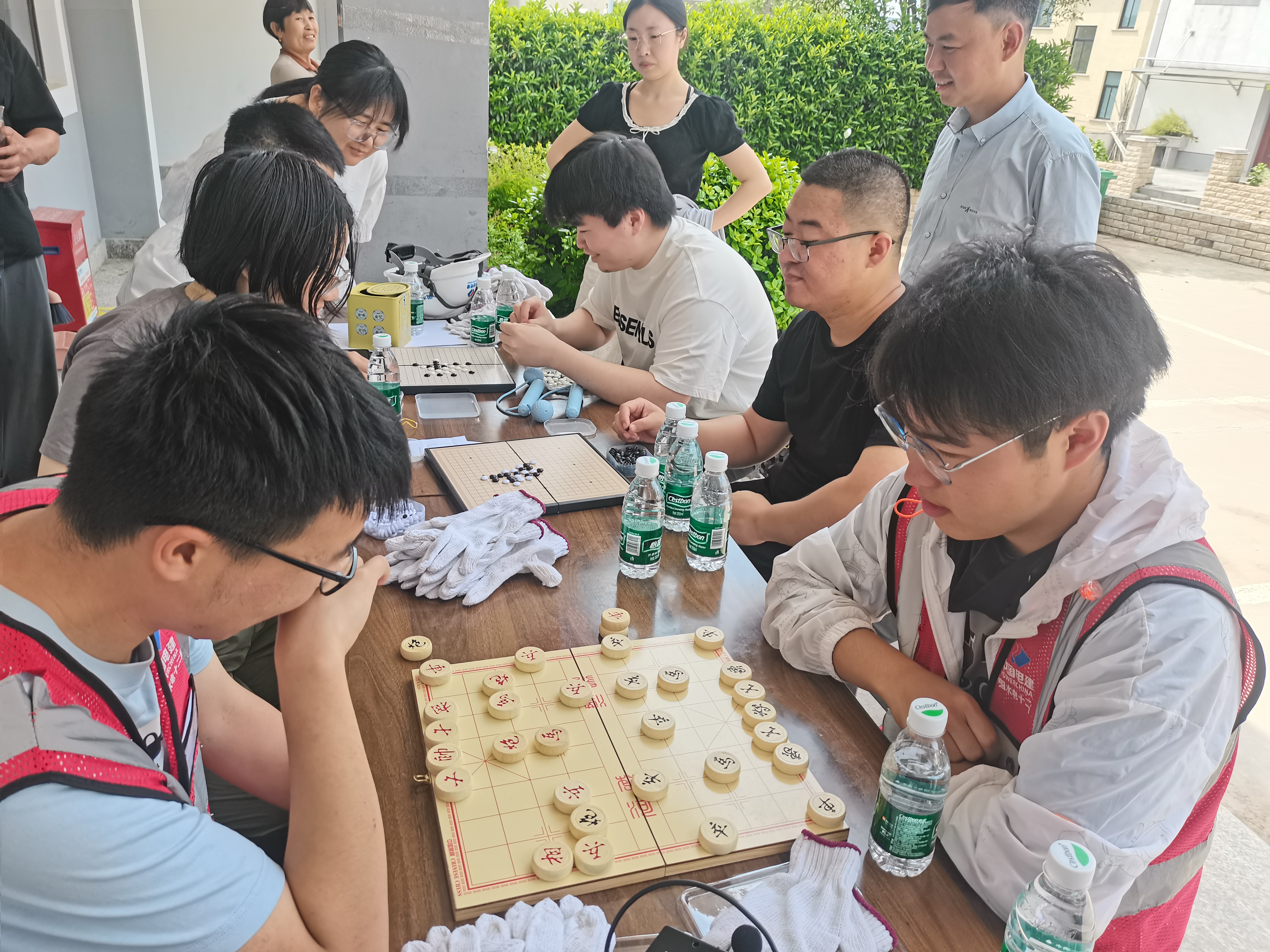今期特马开本期是什么