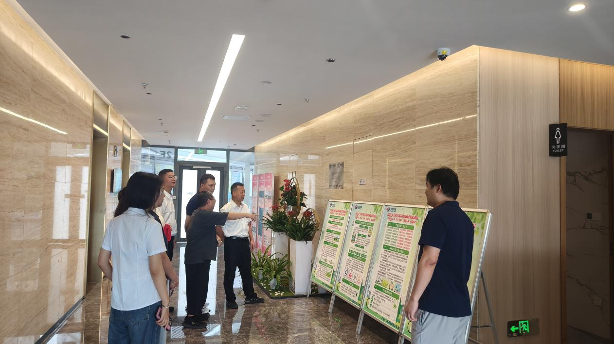 今期特马开本期是什么